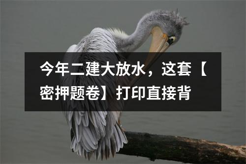 今年二建大放水，这套【密押题卷】打印直接背